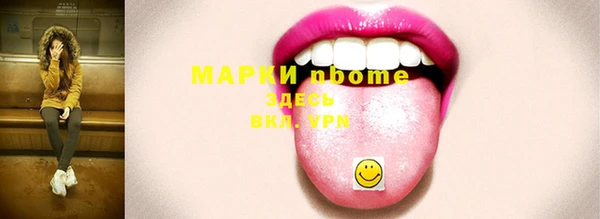 индика Балабаново