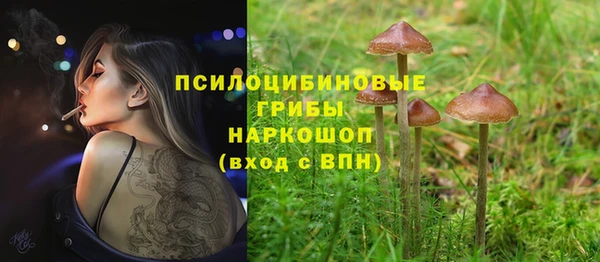 дживик Балахна