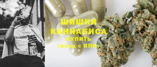 индика Балабаново