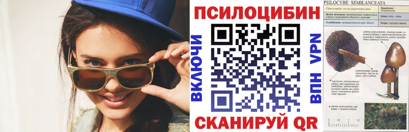 Псилоцибиновые грибы Psilocybe  сайты даркнета какой сайт  Нарьян-Мар  где продают наркотики 